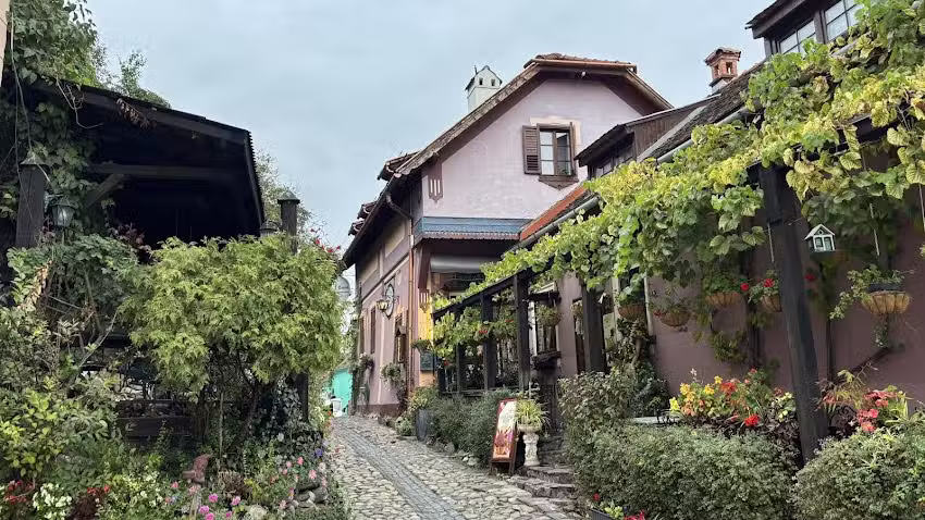 Casa Cositorarului cafenea si hotel