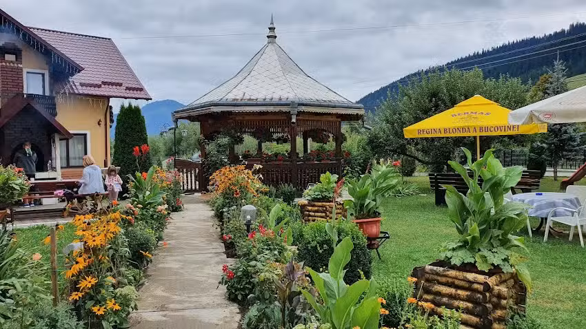 Cristina Sadova Haus