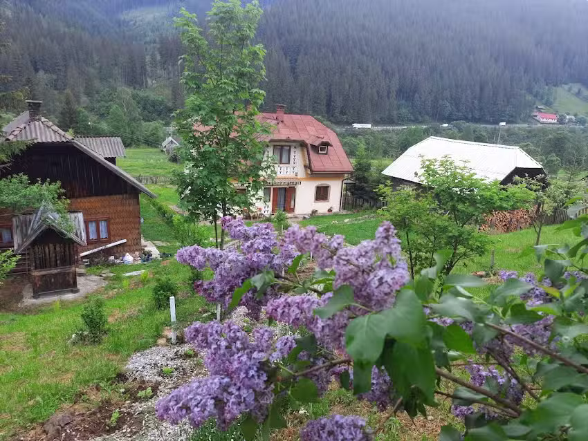 Casa cu flori