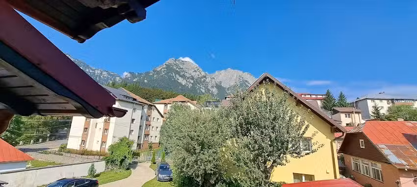 La maison aux fleurs