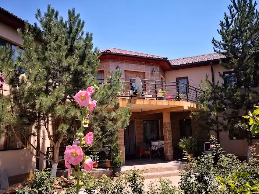 La maison avec de la verdure