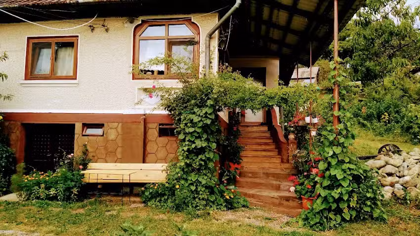 La casa con i lamponi gialli