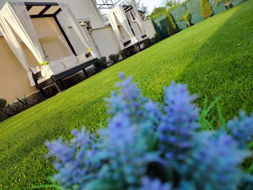 Данијелина кућа