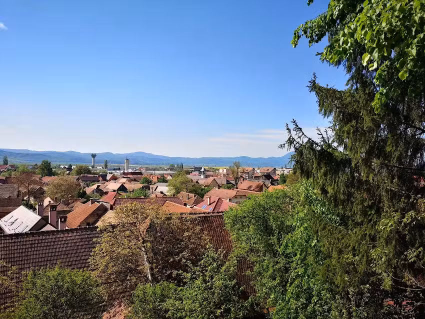 &bdquo;Rodica&rdquo; Vend&eacute;gh&aacute;z