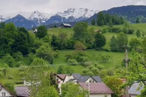 Къщата на хълма Бран