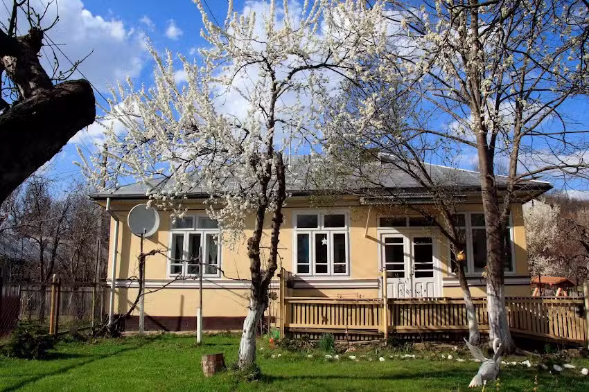 La casa sotto il tiglio