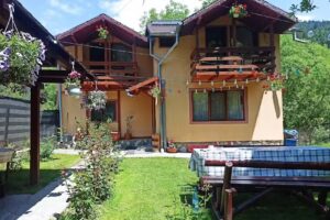 Catalin &Uuml;d&uuml;lőh&aacute;z