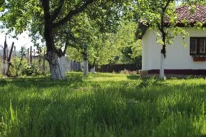 La maison &agrave; Bugeac