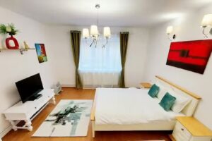 Casa Dușa – Apartment Crisstina