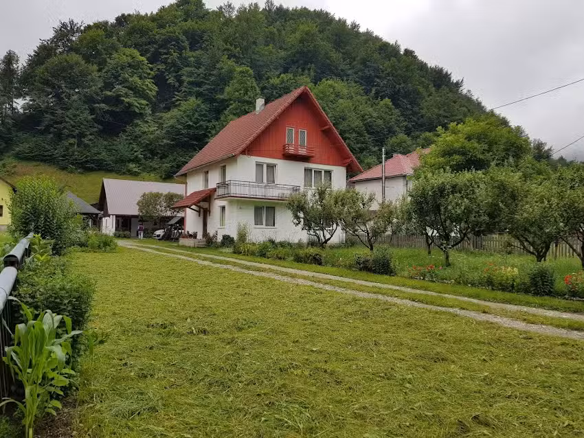 Das Haus der zwei Jungen