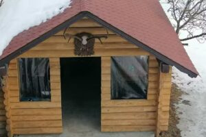 Къща Лавиния