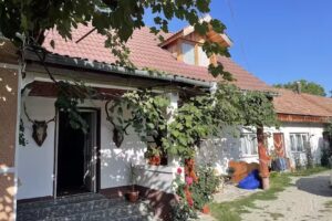 Голямата къща