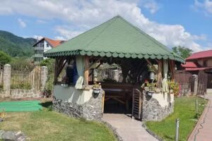 Петрисорова кућа