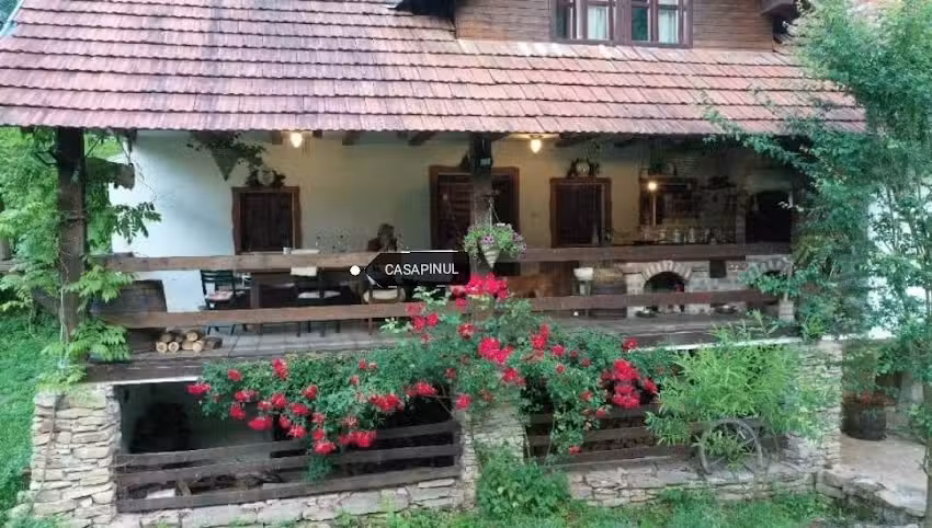 Кућа борова