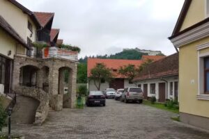 Maison de Saxe