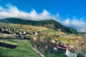 Северинова кућа