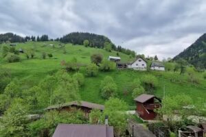 Vladut Haus