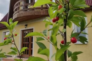 Căsuța de Turtă Dulce