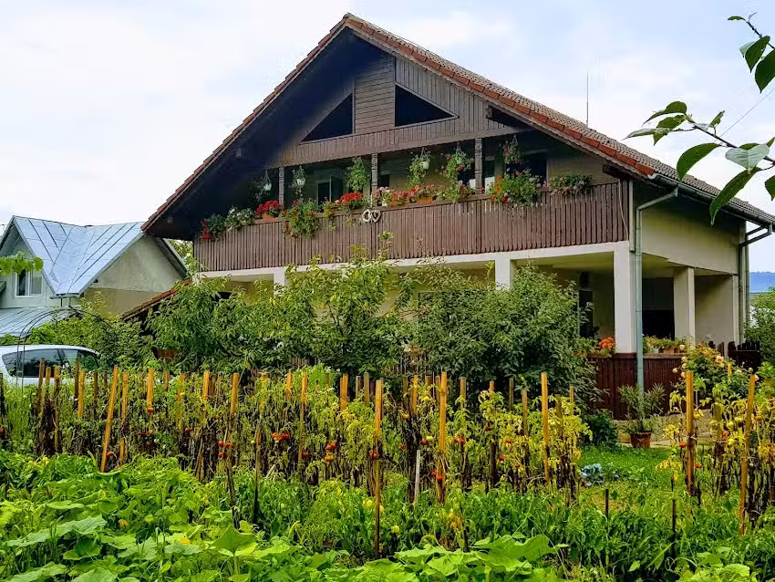Il cottage tra i salici