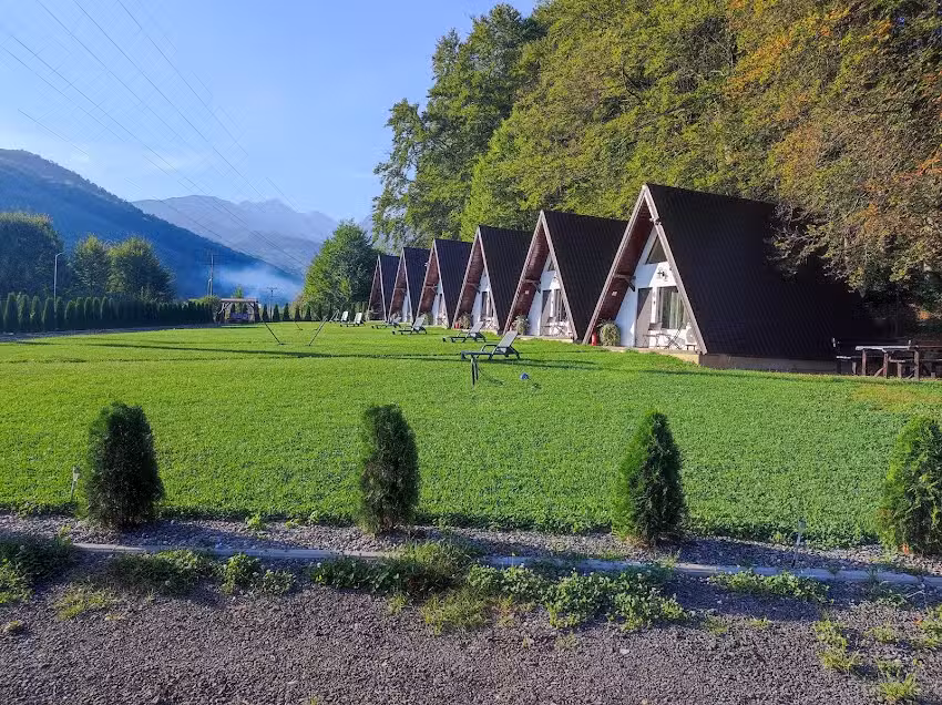 Les petites maisons sous la for&ecirc;t