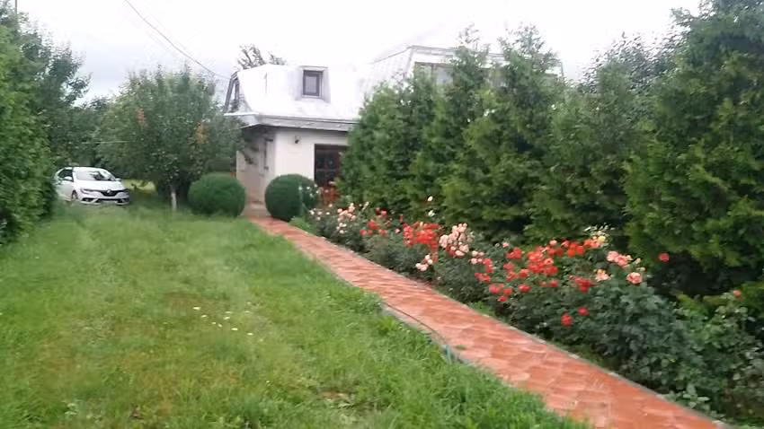 Cazare Poienita