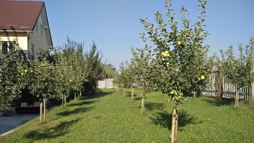 Данијелов центар