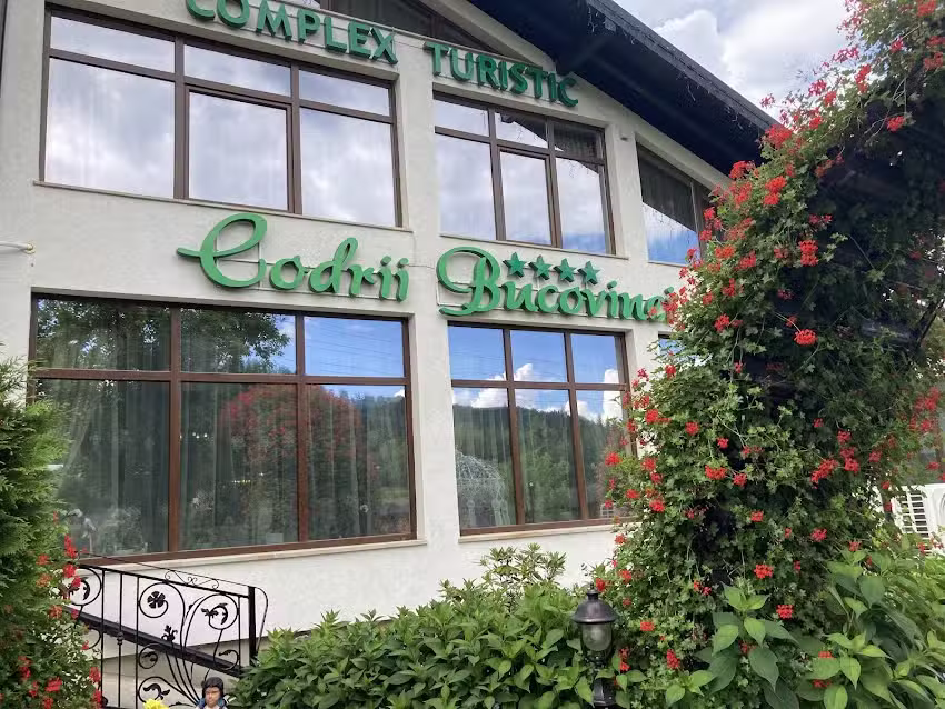 Die Bukowina-W&auml;lder