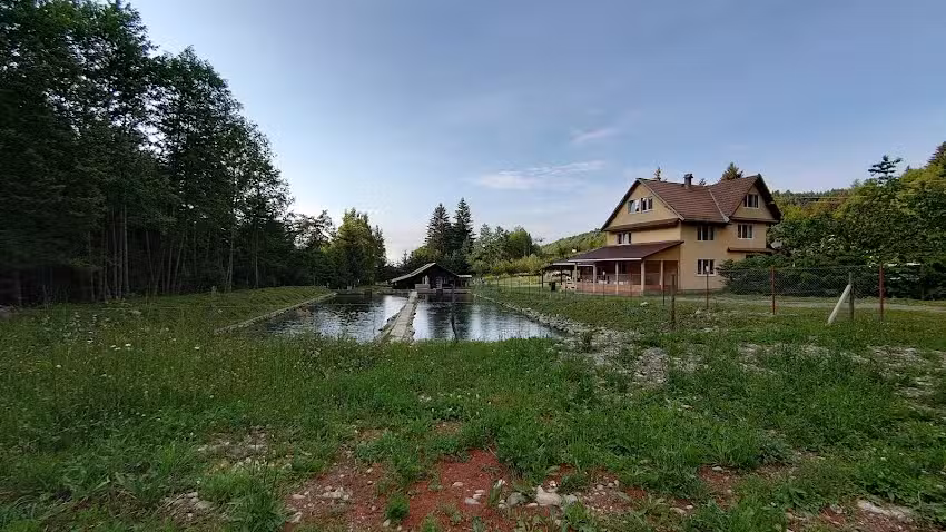 Colții Brezei