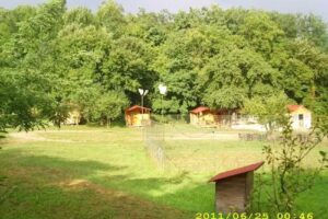 Комплекс Хенријета