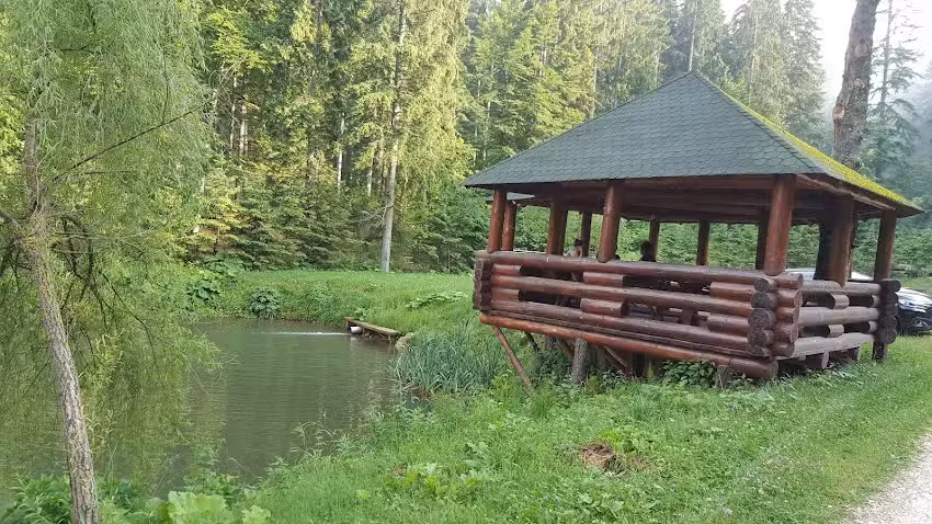 Temesv&aacute;ri Turisztikai Komplexum &ndash; 3. &eacute;s 4. vill&aacute;k (Vladet Trout)