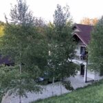 Conacul din Pădure