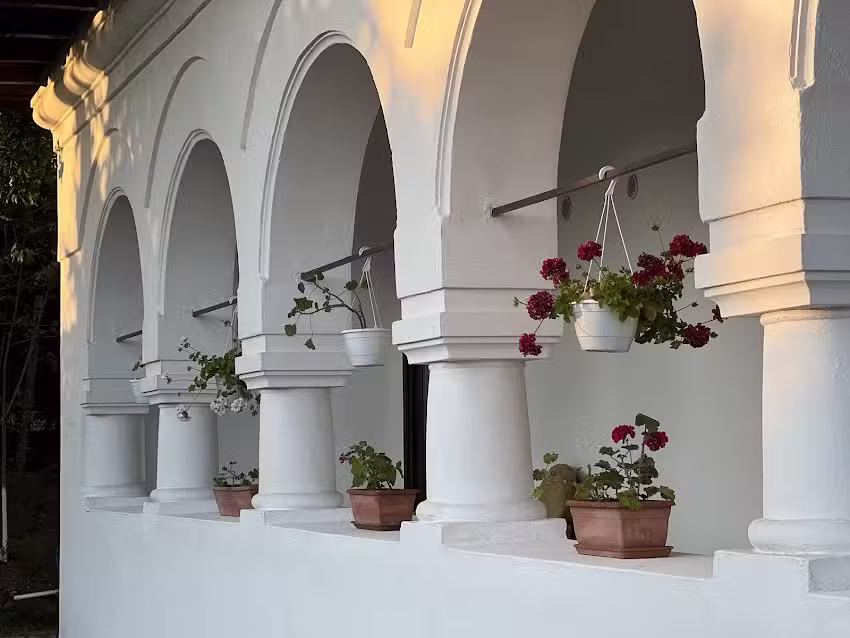 Das Herrenhaus zwischen den Weinreben