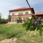 Conacul Domnitei