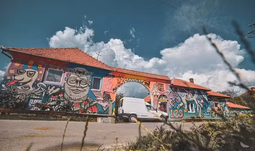 Campeggio con gatti fantastici