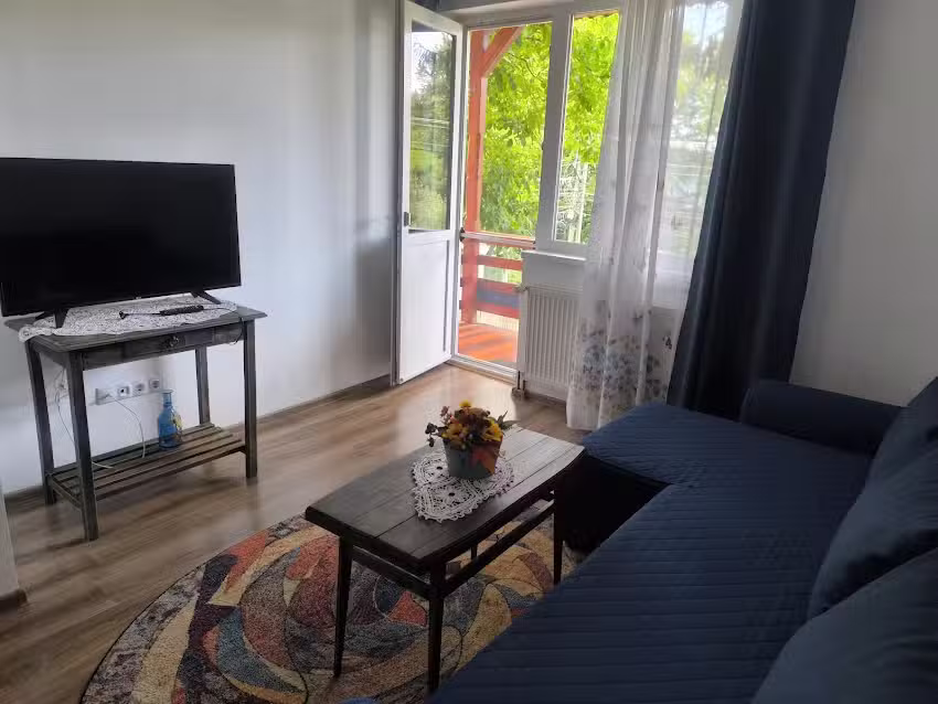 Gem&uuml;tliche Wohnung Sovata