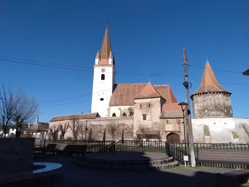 Кристијанова улица XXIV бр. 71