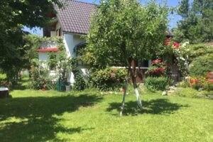 Пансион Чеке