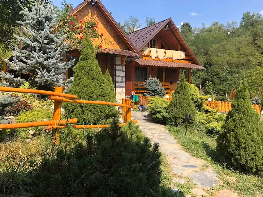 D&acirc;lm de Chitic