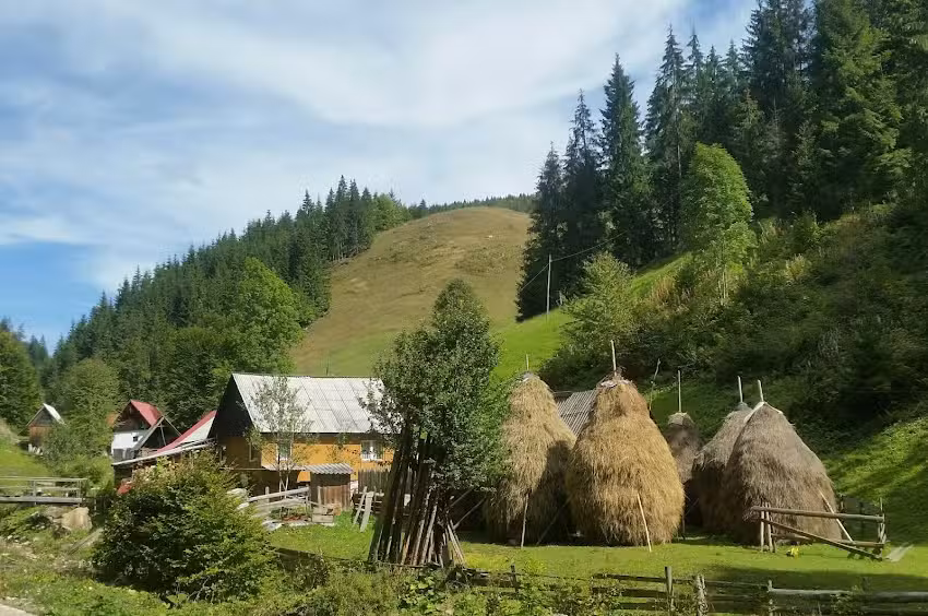 Изпод планината Добра