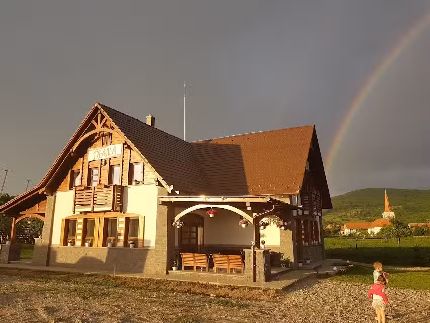 DI&Aacute;NA PANZI&Oacute;