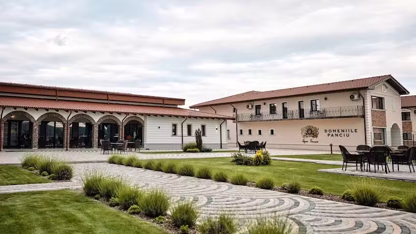 Панчу домени