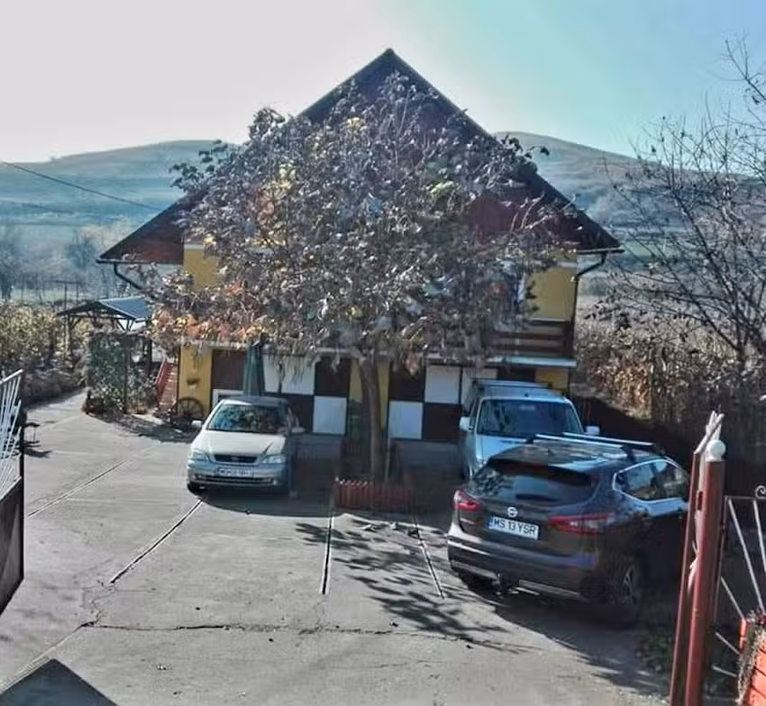 Рајски домен