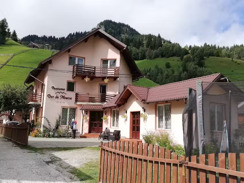 Чежња за Моецијуом