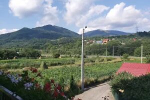 V&aacute;gyakoz&aacute;s a hegyek ut&aacute;n