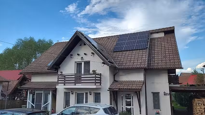 Edelwei&szlig; Ilinca