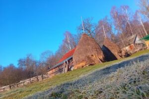 Enjoy Your Holiday on Wonder Transylvania