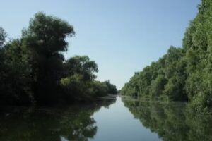 Escursioni nel Delta del Danubio