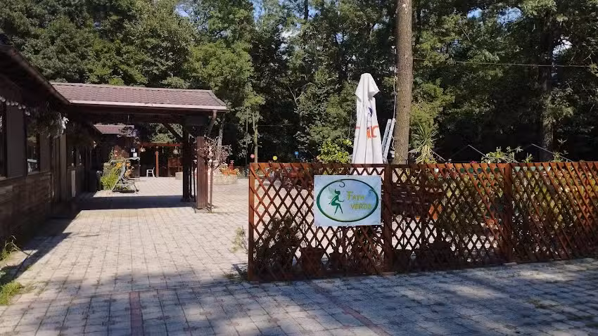Зелена девојка &ndash; У шуми