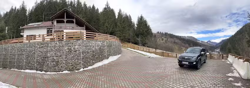 Цвет рунолиста