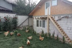 Форд Фордка